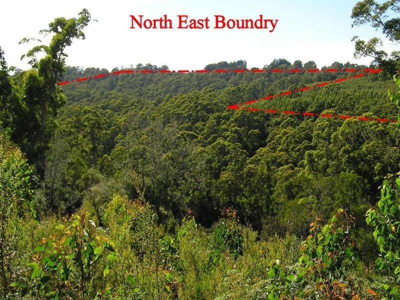 - Penima Road, Ridgley TAS 7321