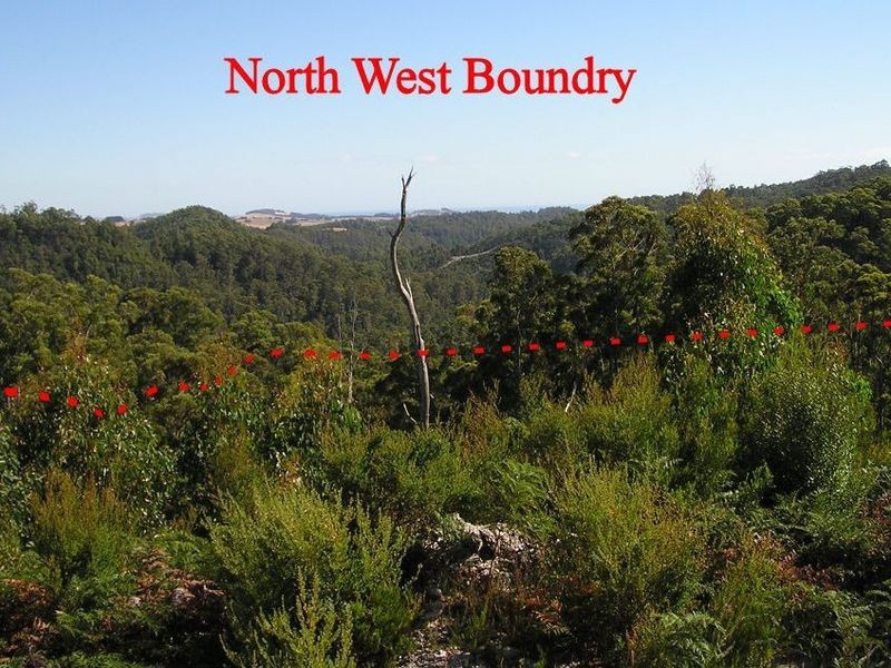 - Penima Road, Ridgley TAS 7321