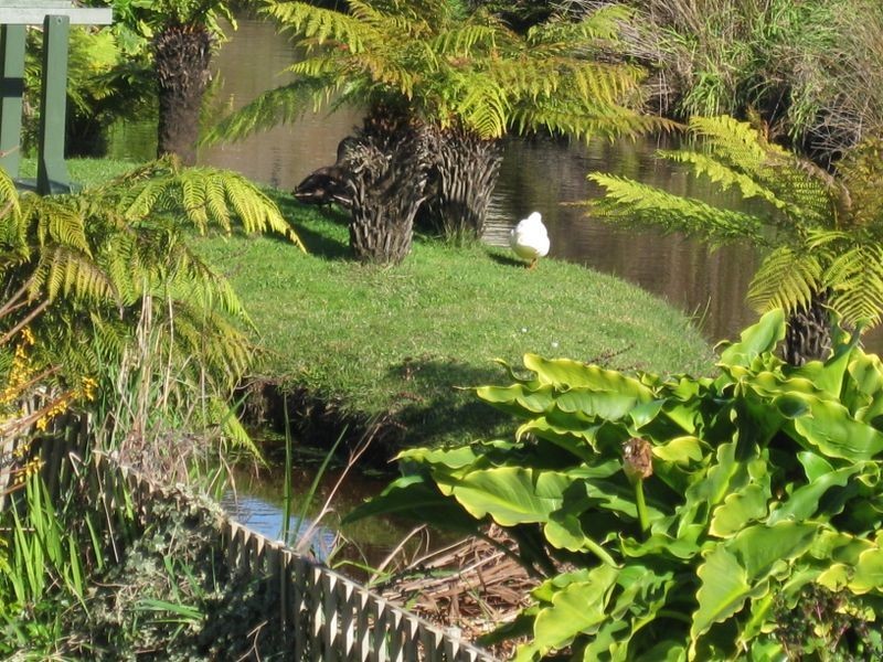 12/3 Hayward Street, Penguin TAS 7316