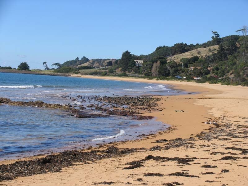 Sulphur Creek TAS 7316