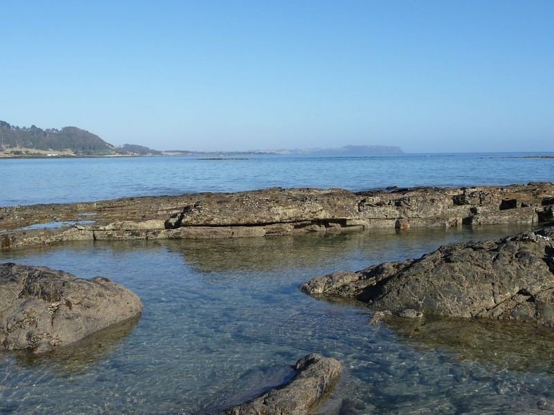 313A Bass Highway, Ocean Vista TAS 7320