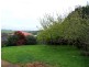 34 Wiseman Street, Burnie TAS 7320