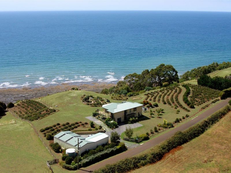 56 West Ridge Road, Penguin TAS 7316