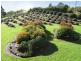 56 West Ridge Road, Penguin TAS 7316