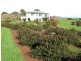 56 West Ridge Road, Penguin TAS 7316