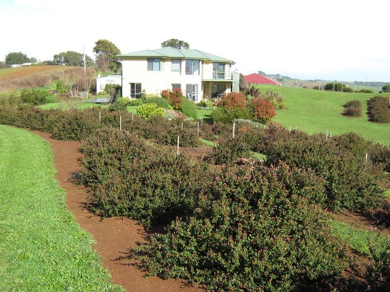 56 West Ridge Road, Penguin TAS 7316