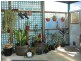 4 Fielding Street, Penguin TAS 7316