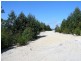 - Penima Road, Ridgley TAS 7321
