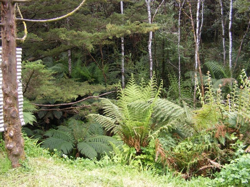 22 Jenico Street, Queenstown TAS 7467
