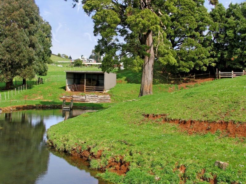 691 Ridgley Highway, Ridgley TAS 7321