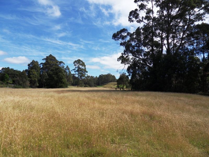 1318 Oonah Road, Tewkesbury TAS 7321