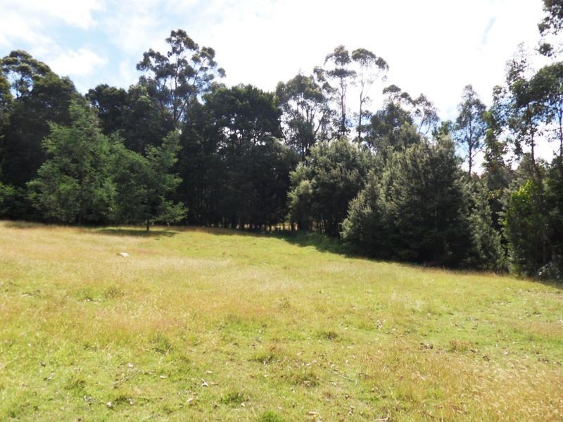 1318 Oonah Road, Tewkesbury TAS 7321