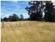 1318 Oonah Road, Tewkesbury TAS 7321