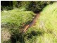 12 Irwell Street, Zeehan TAS 7469