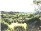 LOT 2 Loorana Coastal Country, King Island TAS 7256