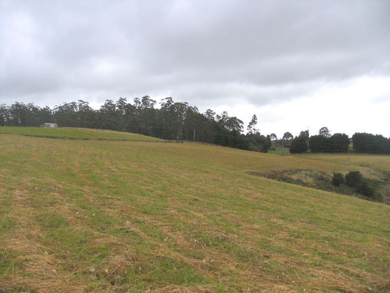 Natone Road, Natone TAS 7321