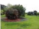 516 Bass Highway Heybridge, Burnie TAS 7320
