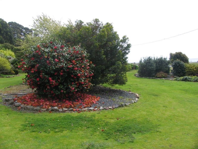 516 Bass Highway Heybridge, Burnie TAS 7320