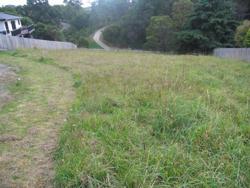 13 Evelyn Street, Penguin TAS 7316