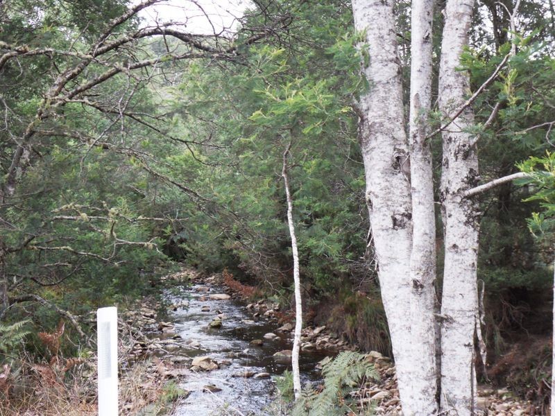 1047 Loyetea Road, Loyetea TAS 7316