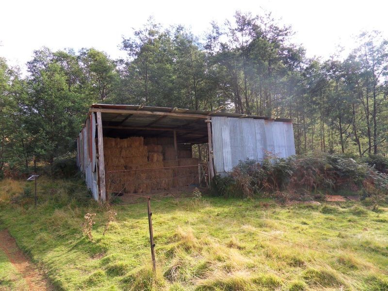 1047 Loyetea Road, Loyetea TAS 7316
