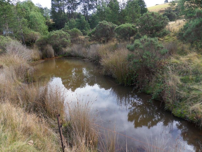 1047 Loyetea Road, Loyetea TAS 7316