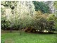 870 Murchison Highway, Elliott TAS 7325