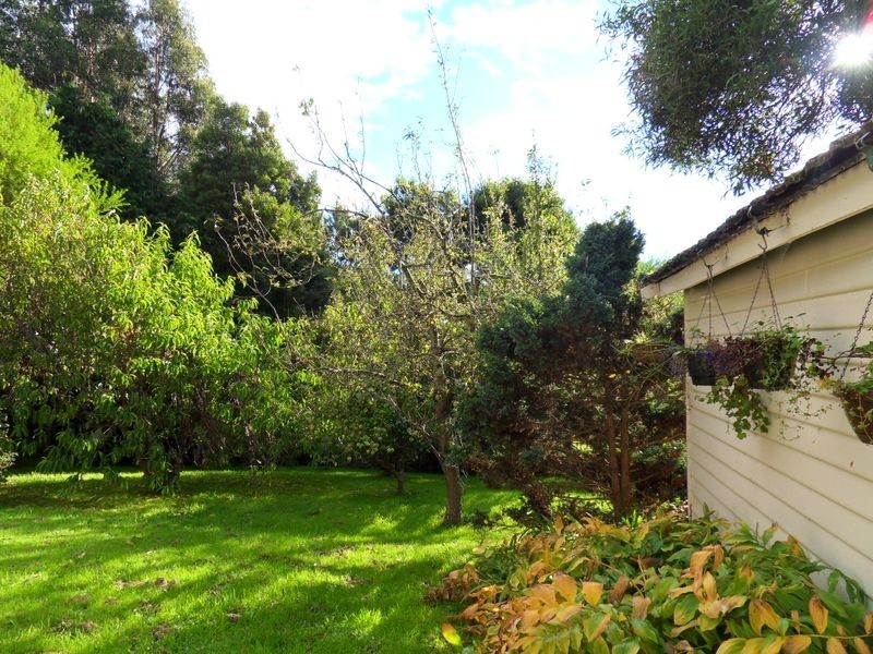 870 Murchison Highway, Elliott TAS 7325