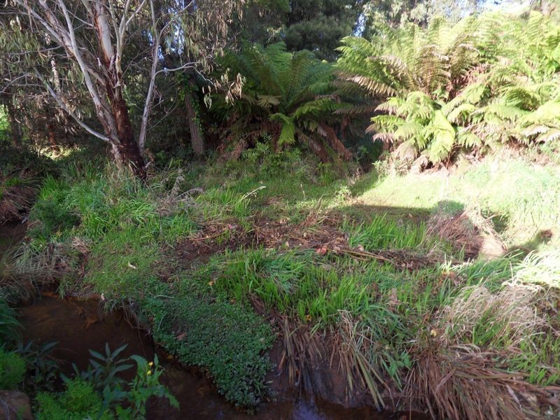 6/119 View Road, Burnie TAS 7320