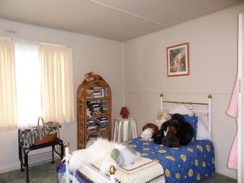 20 Little Quiggins Street, Waratah TAS 7321