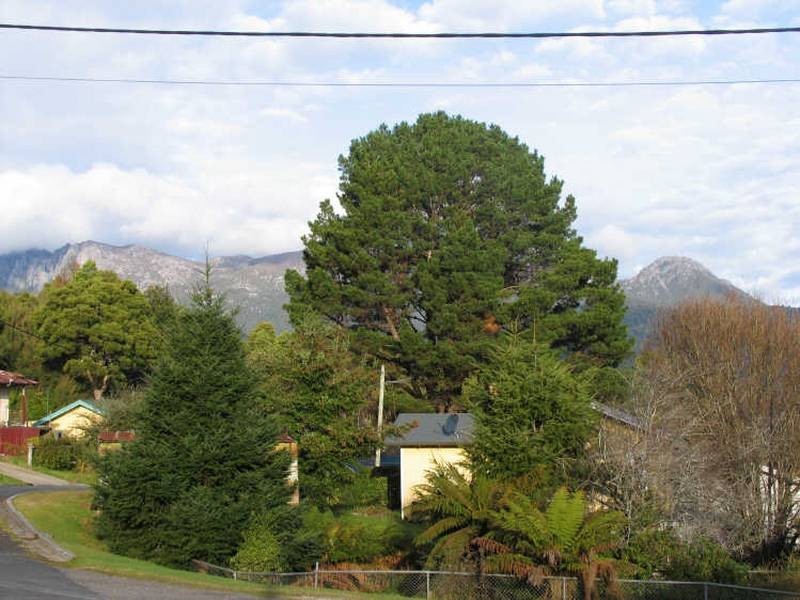 30 Clemons Street, Rosebery TAS 7470