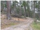 425 Upper Natone Road, Upper Natone TAS 7321