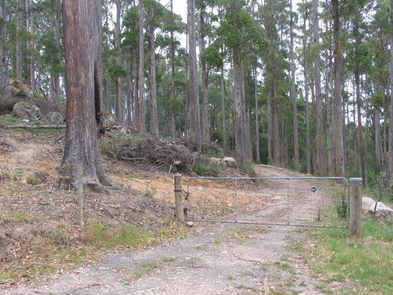 425 Upper Natone Road, Upper Natone TAS 7321