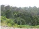 425 Upper Natone Road, Upper Natone TAS 7321