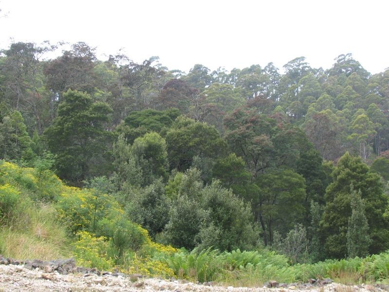 425 Upper Natone Road, Upper Natone TAS 7321