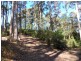 425 Upper Natone Road, Upper Natone TAS 7321