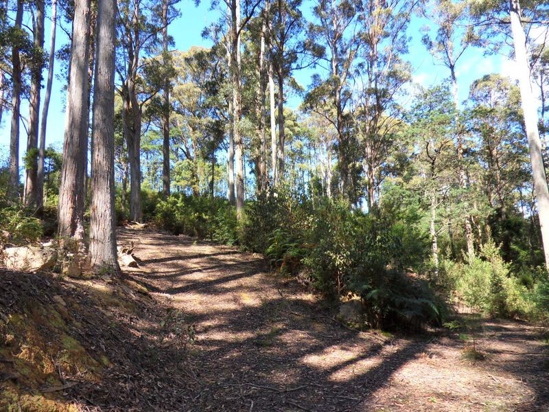 425 Upper Natone Road, Upper Natone TAS 7321