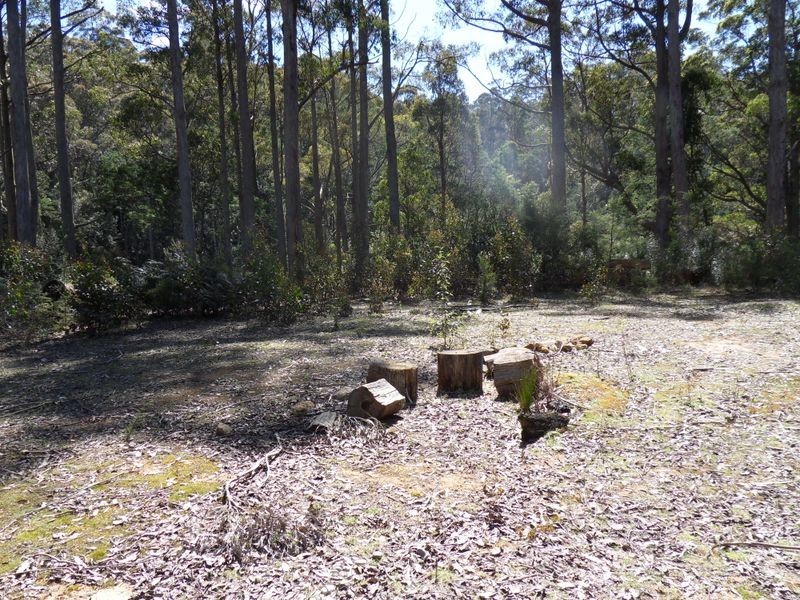 425 Upper Natone Road, Upper Natone TAS 7321