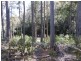 425 Upper Natone Road, Upper Natone TAS 7321
