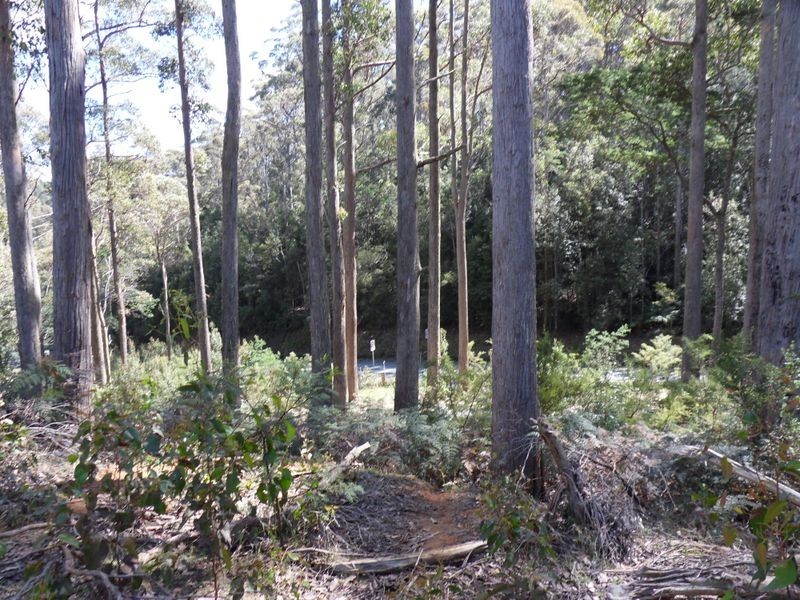 425 Upper Natone Road, Upper Natone TAS 7321