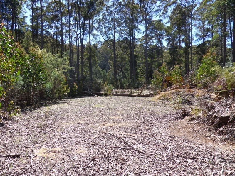 425 Upper Natone Road, Upper Natone TAS 7321