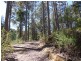 425 Upper Natone Road, Upper Natone TAS 7321
