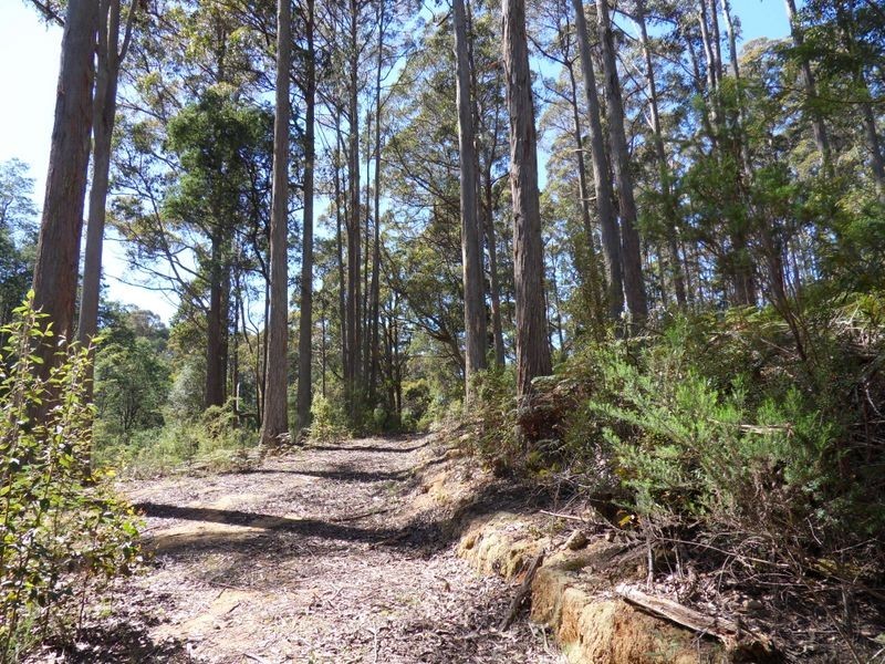425 Upper Natone Road, Upper Natone TAS 7321