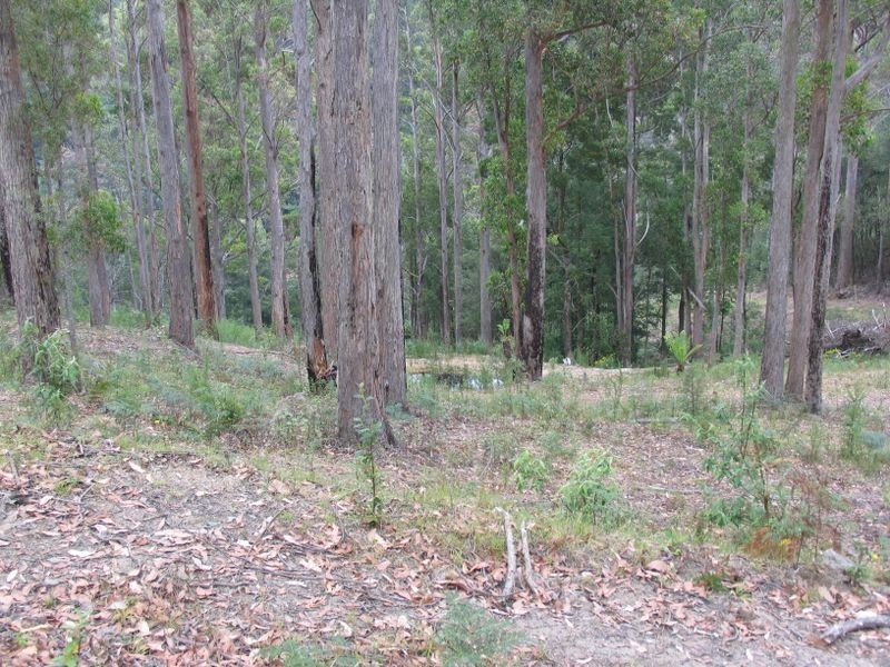 425 Upper Natone Road, Upper Natone TAS 7321