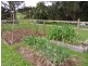 99 Village Lane, Somerset TAS 7322