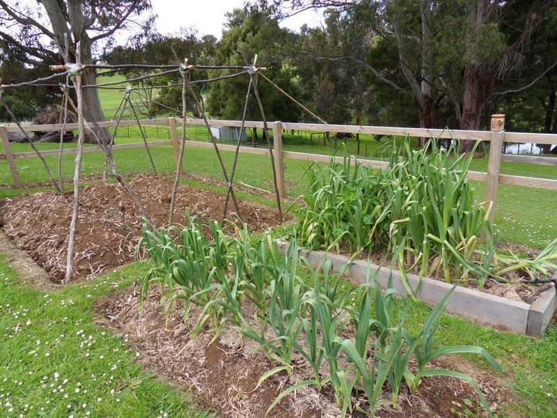 99 Village Lane, Somerset TAS 7322