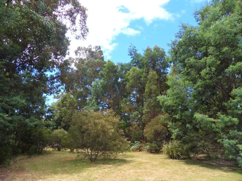 20 Alberts Road, Somerset TAS 7322