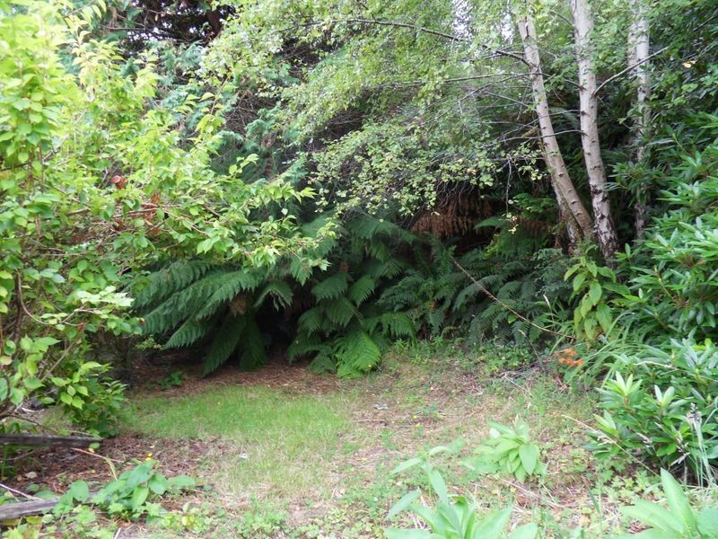 11 Lovett Street, Queenstown TAS 7467