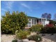 8 Guy Crescent, Somerset TAS 7322