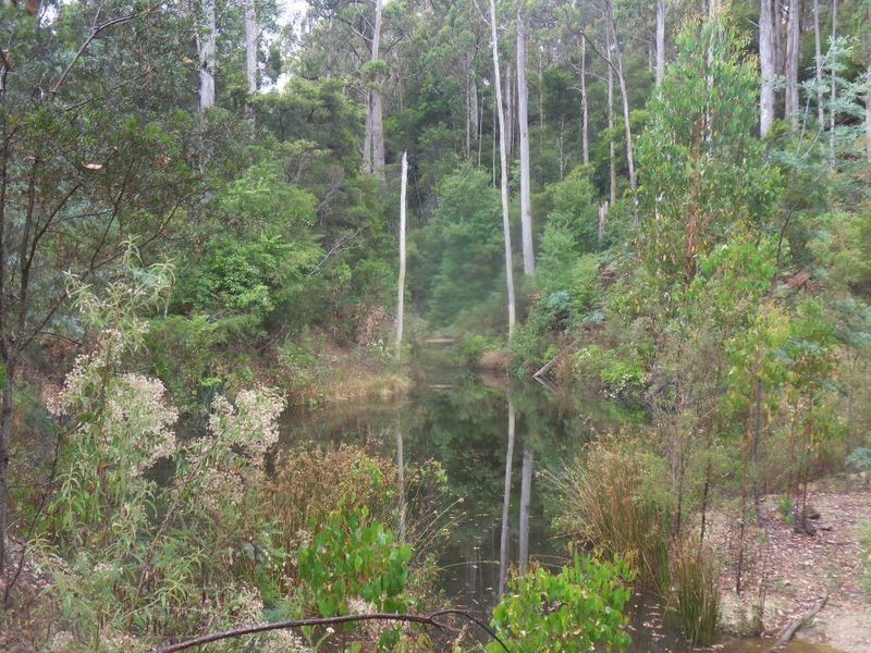 301 Minna Road Heybridge, Burnie TAS 7320